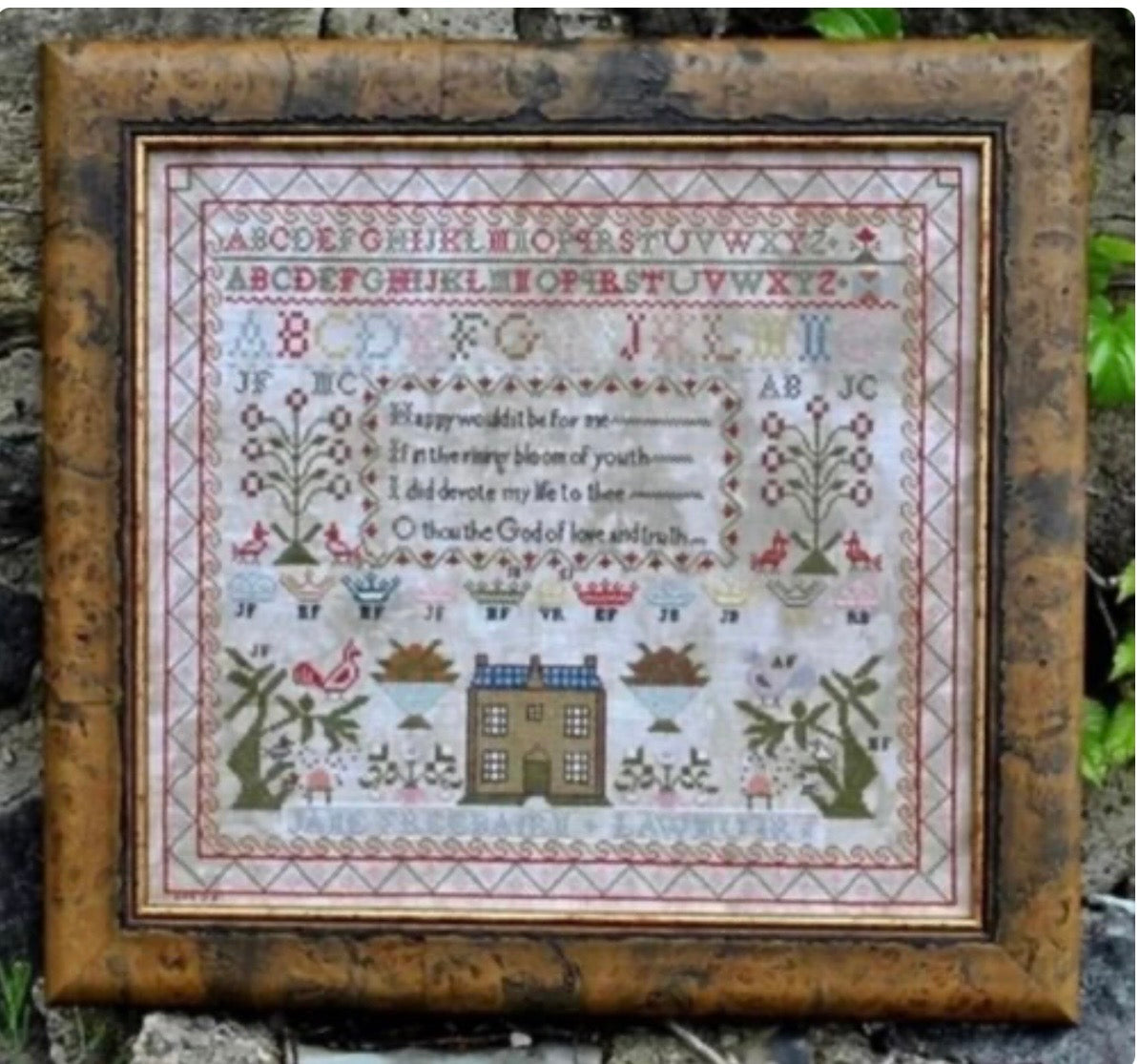 Victorian Rose Jane Freebairn
