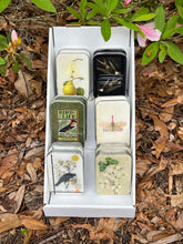 Load image into Gallery viewer, Firefly Notes Large Magnetic Notions Tin (Choose/Priced Individually)
