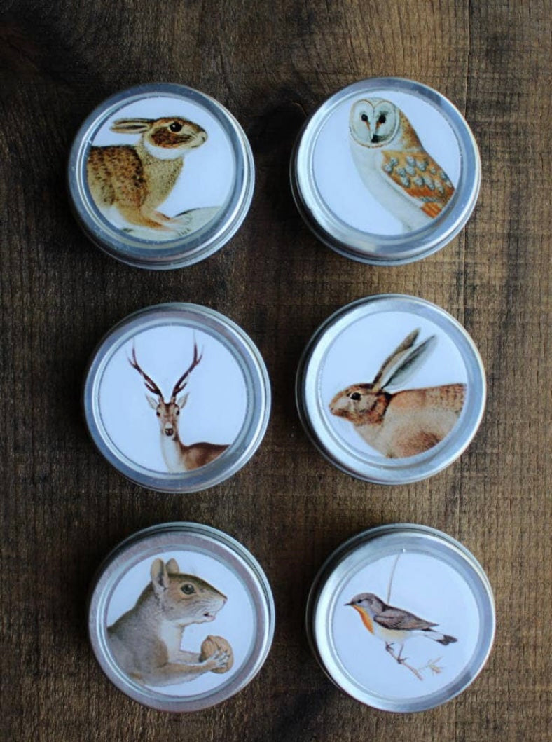 Firefly Notes Assorted Forest Friends Tin (Priced Per Tin)