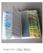Load image into Gallery viewer, Amy Mitten Fifty Shades Not Grey (20 yard skeins)
